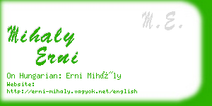 mihaly erni business card